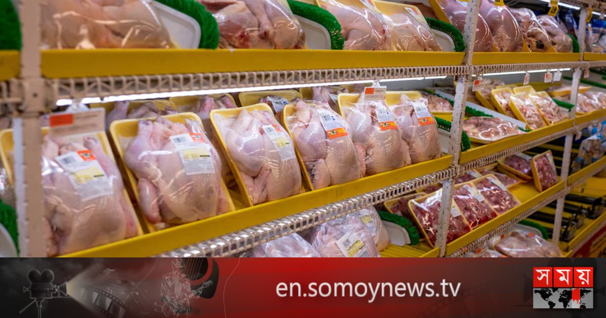 đá gà chung cư nguyễn thiện thuật đá gà chung cư nguyễn thiện thuật