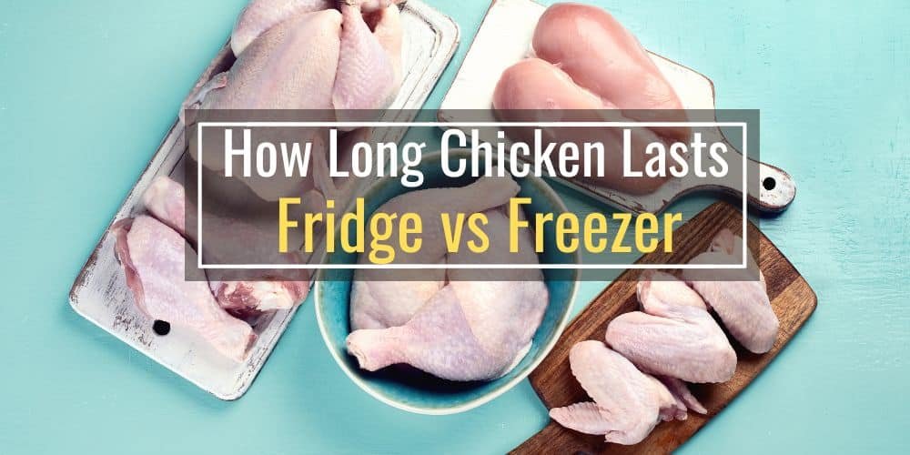 cách bắt đá gà trên mangj cách bắt đá gà trên mangj