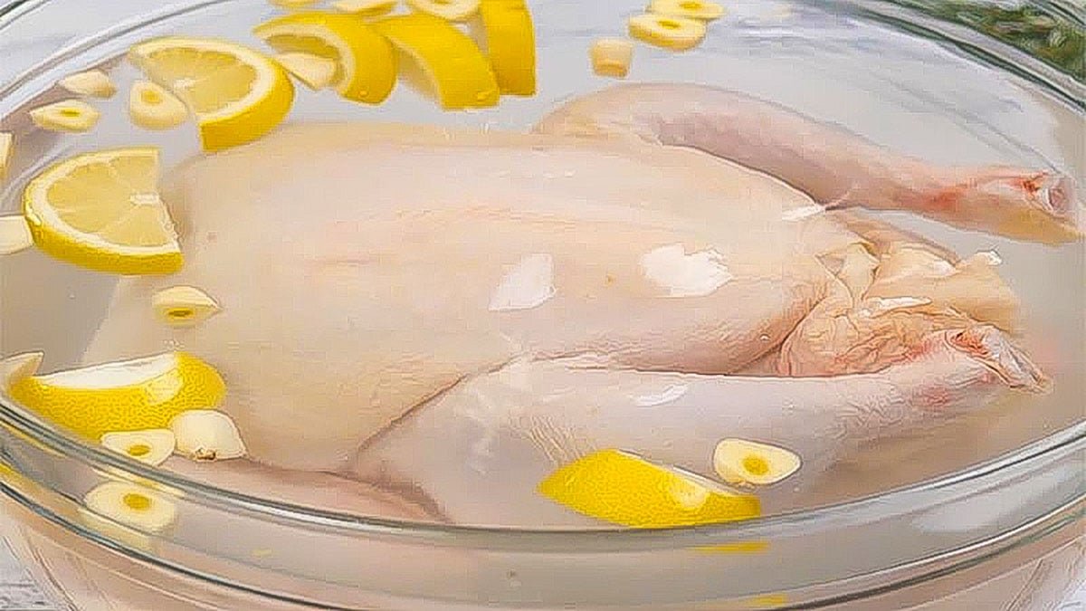 đá gà thomo ngày 10 tháng 3 năm 2019 đá gà thomo ngày 10 tháng 3 năm 2019