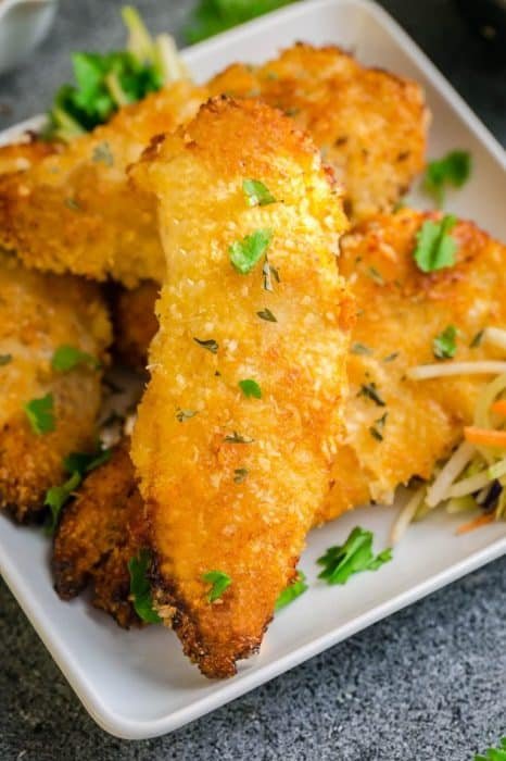 gà tre bắc tít đá gà tre bắc tít đá