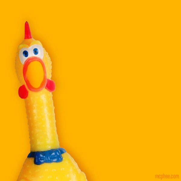 đá gà thomo năm 2019 đá gà thomo năm 2019