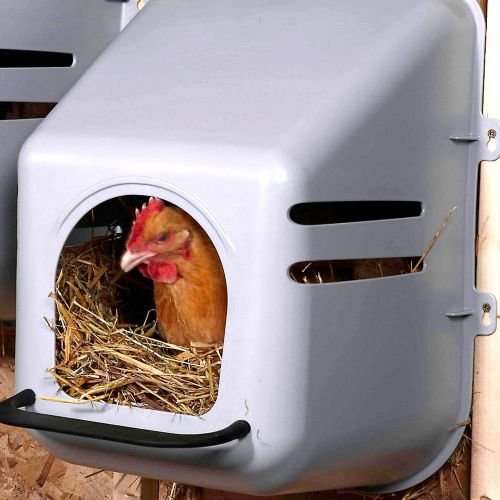gạch lát nền vân đá 80×80 màu mỡ gà gạch lát nền vân đá 80×80 màu mỡ gà