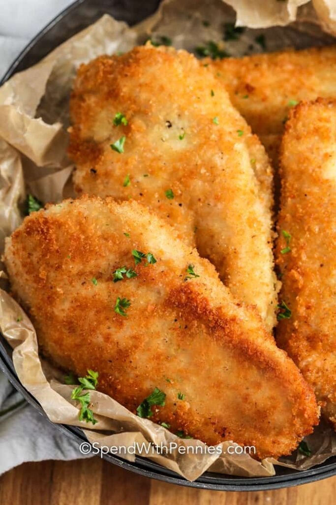 đá gà bến tre cựa sắt đá gà bến tre cựa sắt