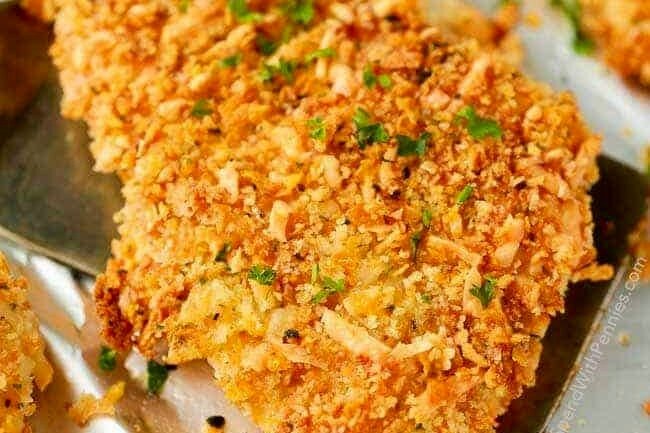 đá gà cựa sắt cà mau đá gà cựa sắt cà mau
