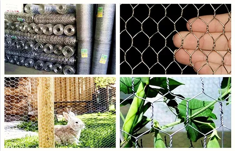 gà đá cựa sắt ngày 21 tháng 2 năm 2019 gà đá cựa sắt ngày 21 tháng 2 năm 2019