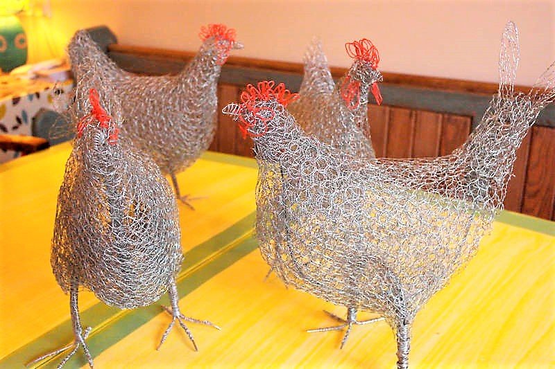 đá gà cựa sắt sóc trăng đá gà cựa sắt sóc trăng