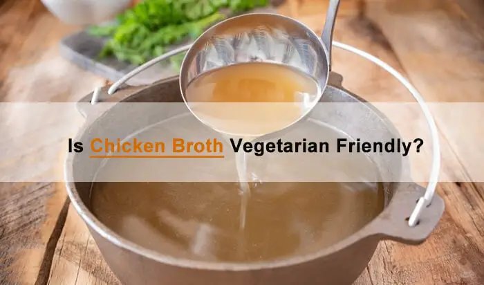 gà đá việt nam gà đá việt nam